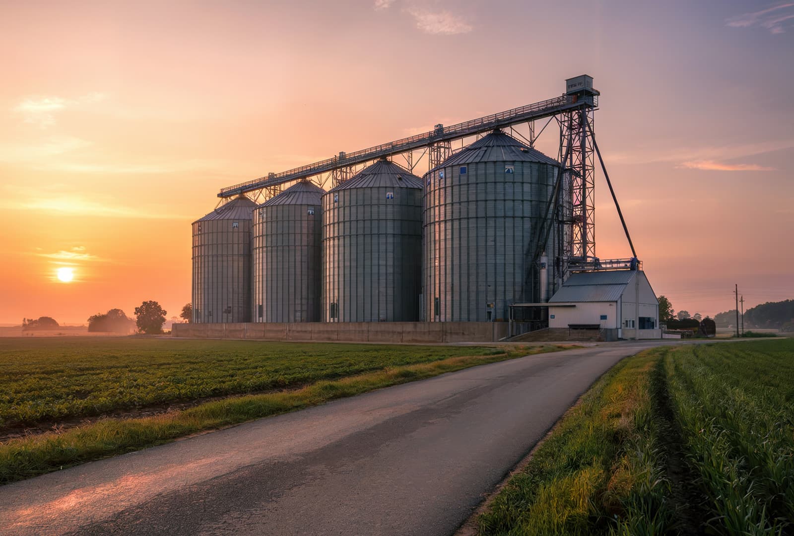 Hero image for From Manager to Enterprise Leader